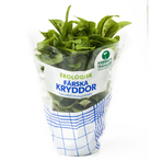 Ängssyra Eko Kabbarp