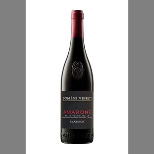 Domini Veneti Amarone Classico