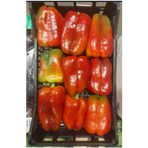 Paprika Röd (Marrap - Peperoni rossi), ca 4kg/krt