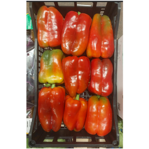 Paprika Röd/Peperoni rossi ca 4kg/krt