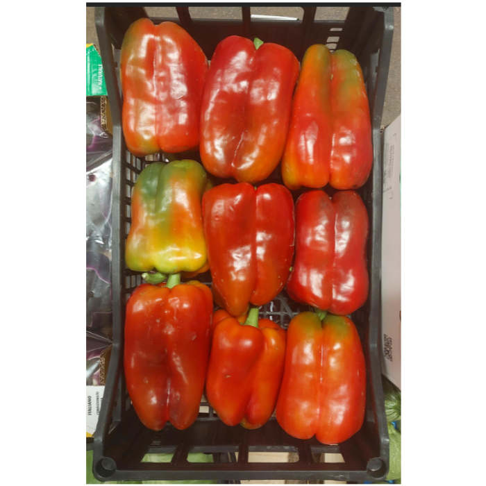 Paprika Röd/Peperoni rossi ca 4kg/krt