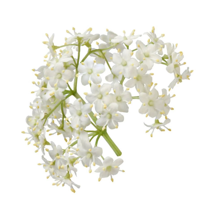 Fläderblommor 0,5kg